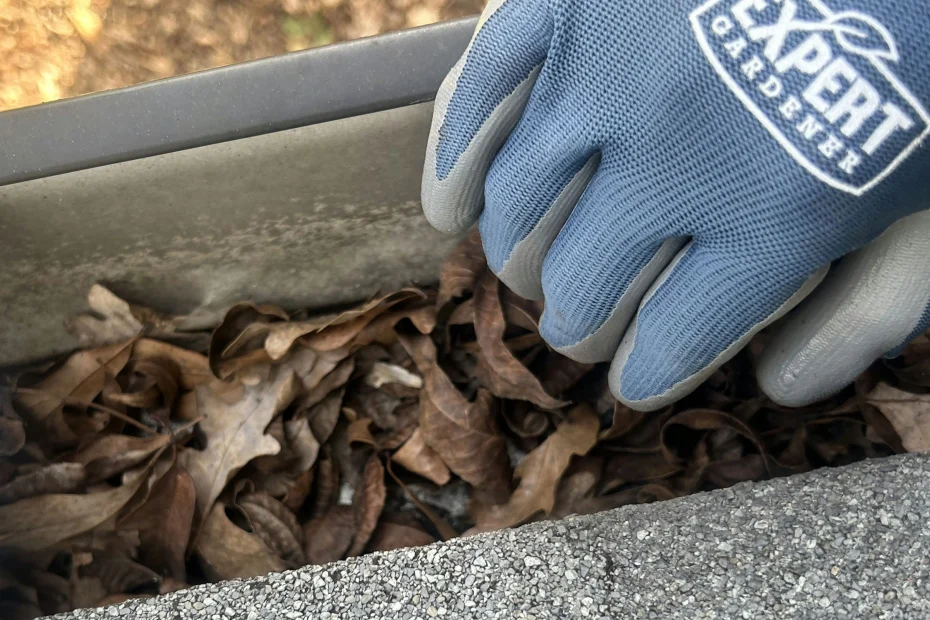 Gutter Cleaning Bentonville AR